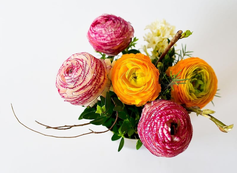 Modern Plant Arrangement