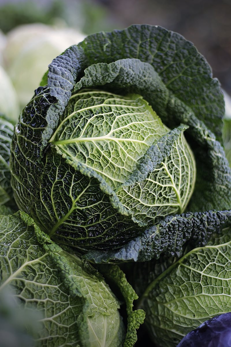 Homegrown vegetables