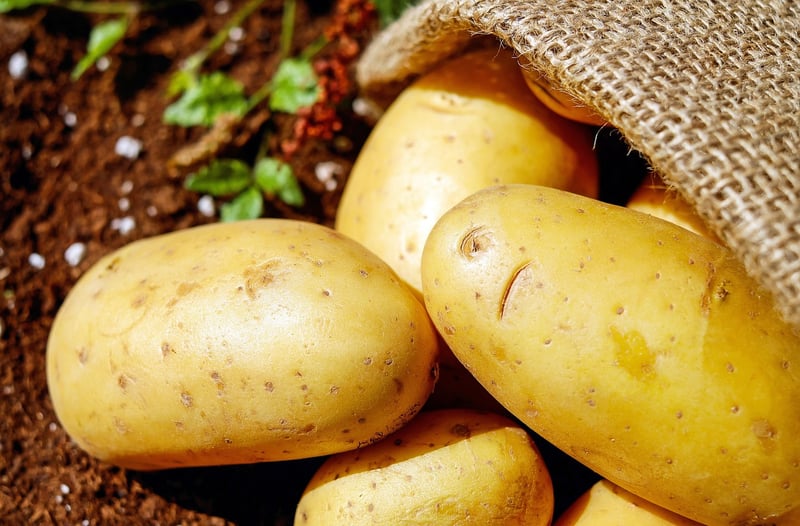 Homegrown Vegetables